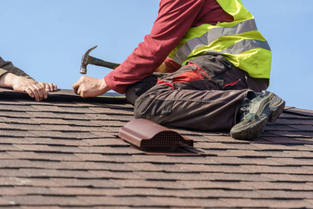 Best Metal Roofing Contractor  in Crewe, VA